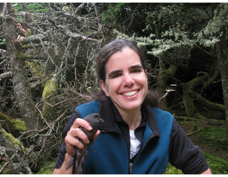 Gabrielle Nevitt holds a Leach's storm-petrel.