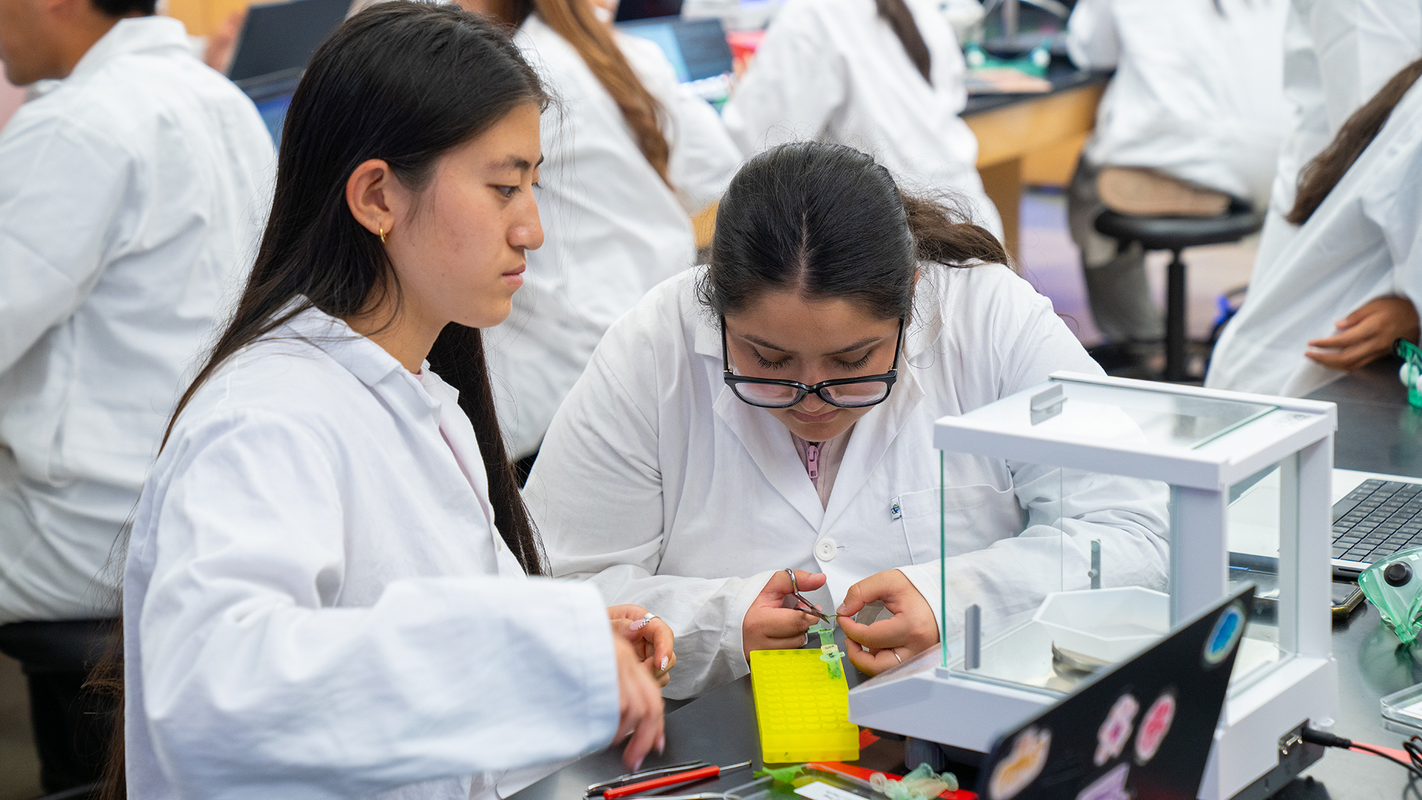 Two students in lab coats working together on a small biology experiment at a lab bench