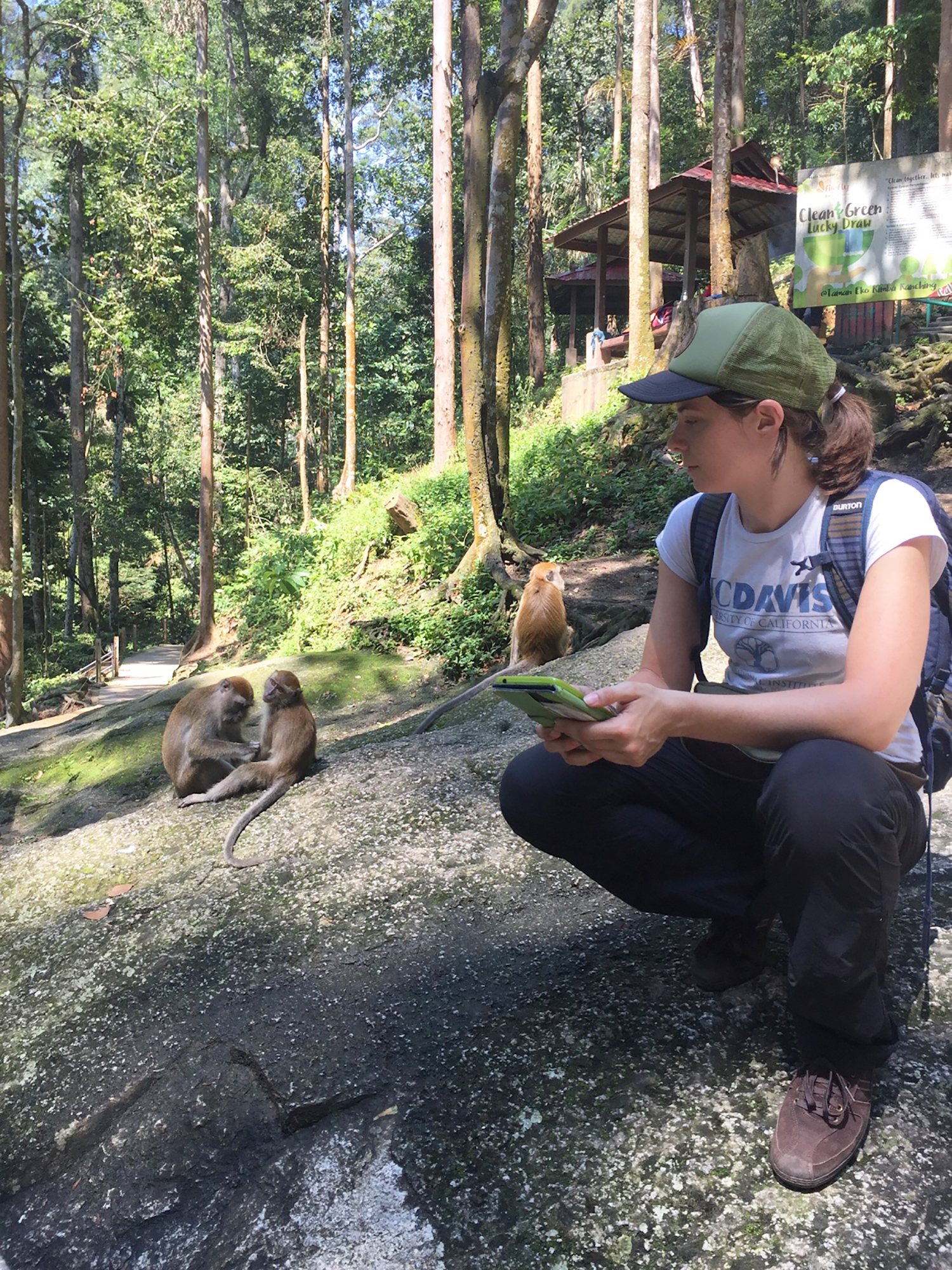 Female researcher crouched in forest next to two monkeys