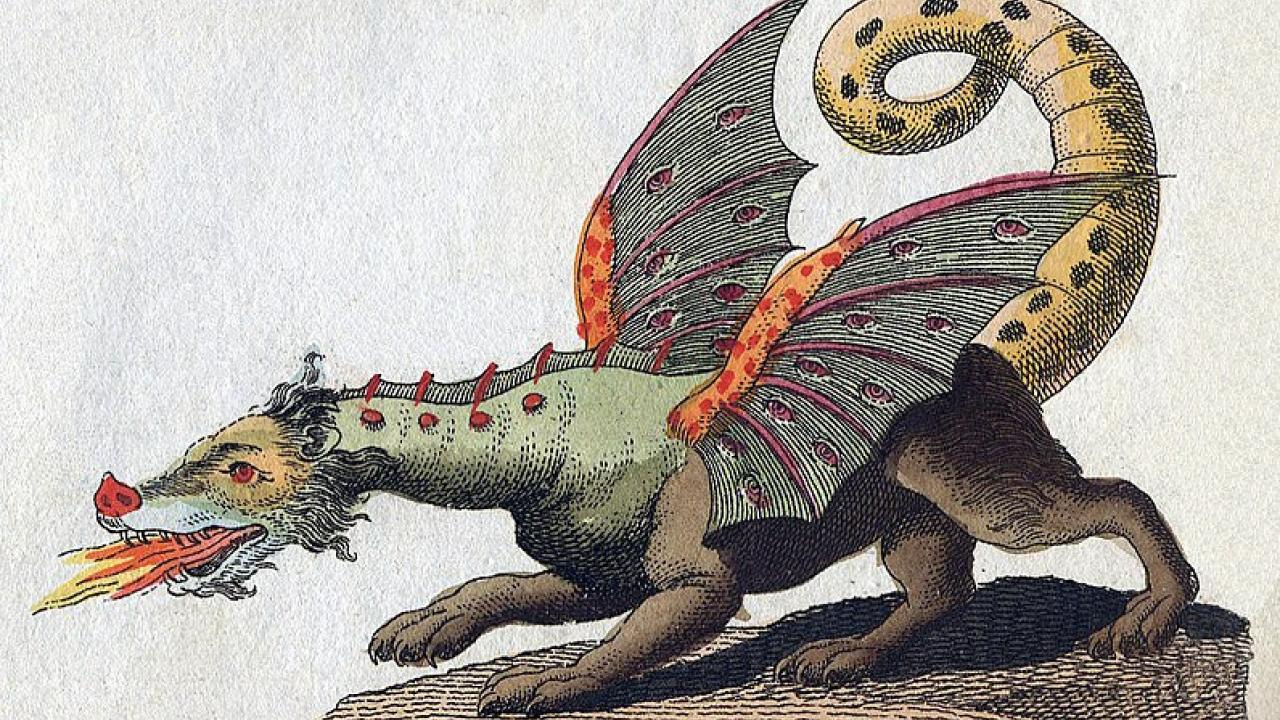 Dragon