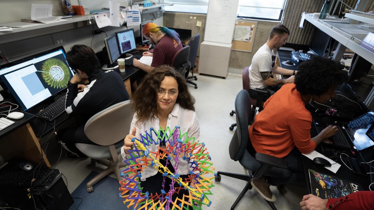 Professor Mariel Vazquez applies her training in this area of mathematics to fundamental questions about DNA structure and functionality. David Slipher/UC Davis Mariel Vazquez