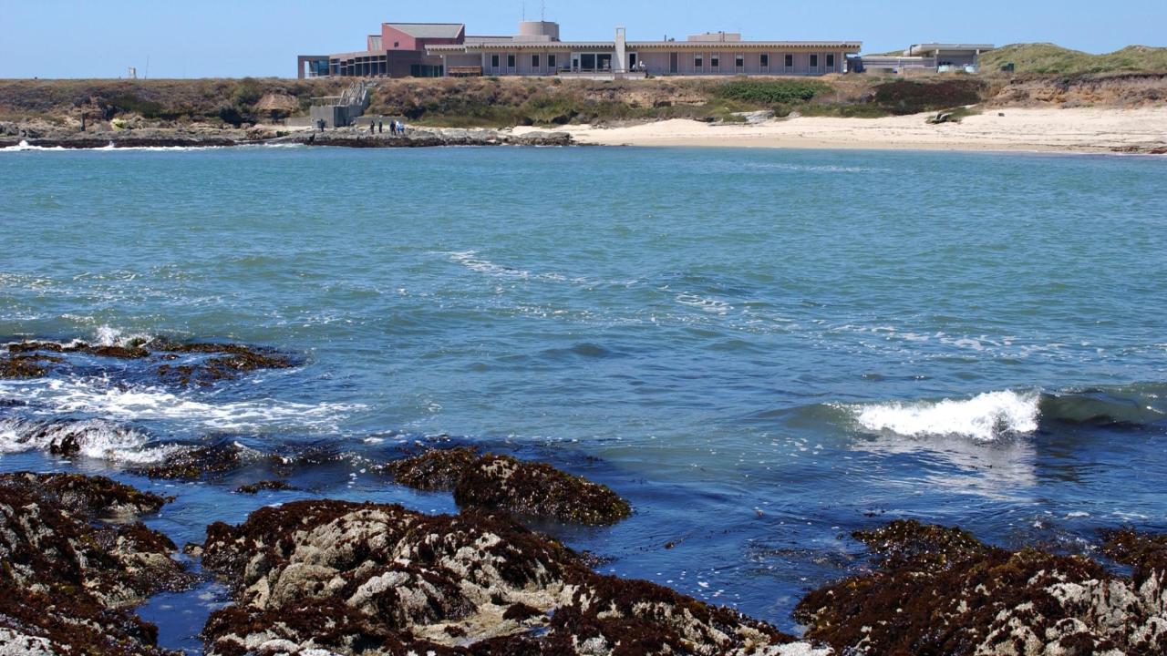 For their outstanding work in the marine sciences, two Bodega Marine Laboratory graduate students are among this year’s recipients of the National Oceanic and Atmospheric Administration’s Dr. Nancy Foster Scholarship. Debbie Aldridge Bodega Marine Laboratory