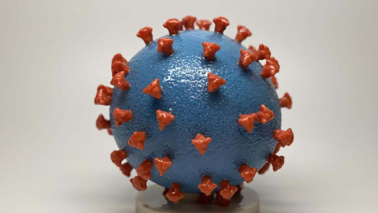 We asked UC Davis College of Biological Sciences virologists Priya Shah and Samuel Díaz-Muñoz for their thoughts on the coronavirus and its effect on the public. NIAID Coronavirus