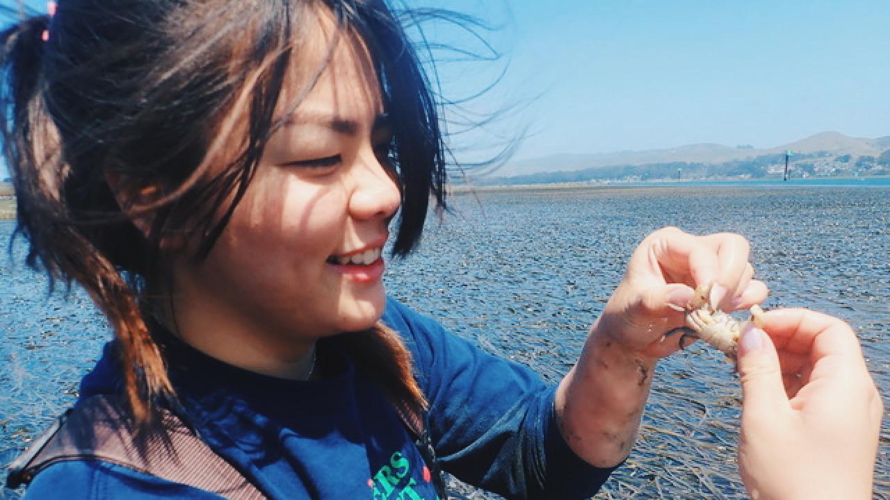 For undergraduate student Megan Ma, art reinforces science and science reinforces art. Since enrolling at UC Davis nearly four years ago, Ma has lent her artistic talent to the Aggie community, all the while conducting research. Courtesy photo Megan Ma