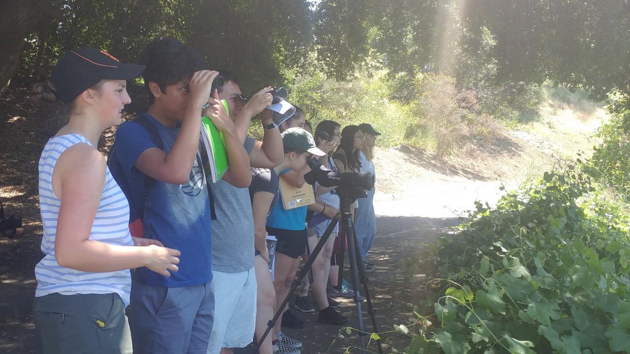 The Wild Davis class observes turtles in the Arboretum lake. Front to back: Anne Boyd, Harrison Espino, Tristan Tran, Ella Brydon, Lisbeth Solis, Abigail Rodriguez, Isabelle Gilchrist, Xinyu Gao and Laura Poikonen. Laci Gerhart-Barley The Wild Davis class observes turtles in the Arboretum lake. Laci Gerhart-Barley