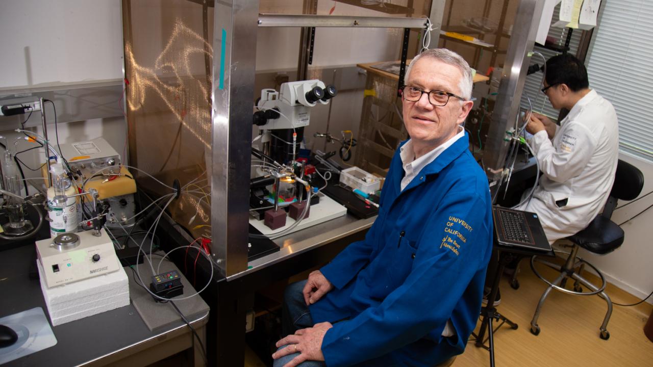 Distinguished Professor Walter Leal, Department of Molecular and Cellular Biology, studies the molecular basis of insect olfaction, unraveling how insects detect chemicals and using that knowledge to inform pest management techniques. David Slipher/UC Davis Walter Leal sits at the bench