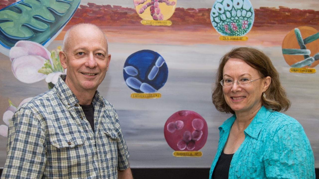 Professors Luca Comai and Michele Igo pose by a BIS 2A classroom mural. David Slipher/UC Davis