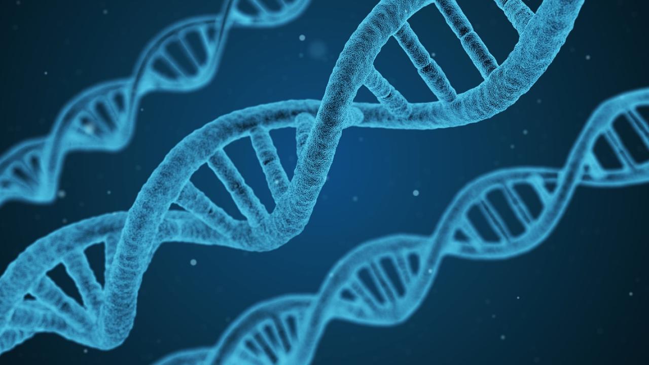 Pixabay DNA