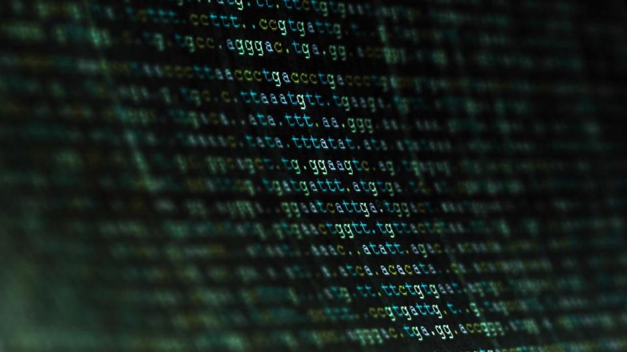 Many people who have had their DNA sequenced upload the data to websites to find relatives who match. UC Davis geneticists have found it may be possible to trick these sites into giving up extensive information about users’ DNA. Getty Images Sequenced DNA