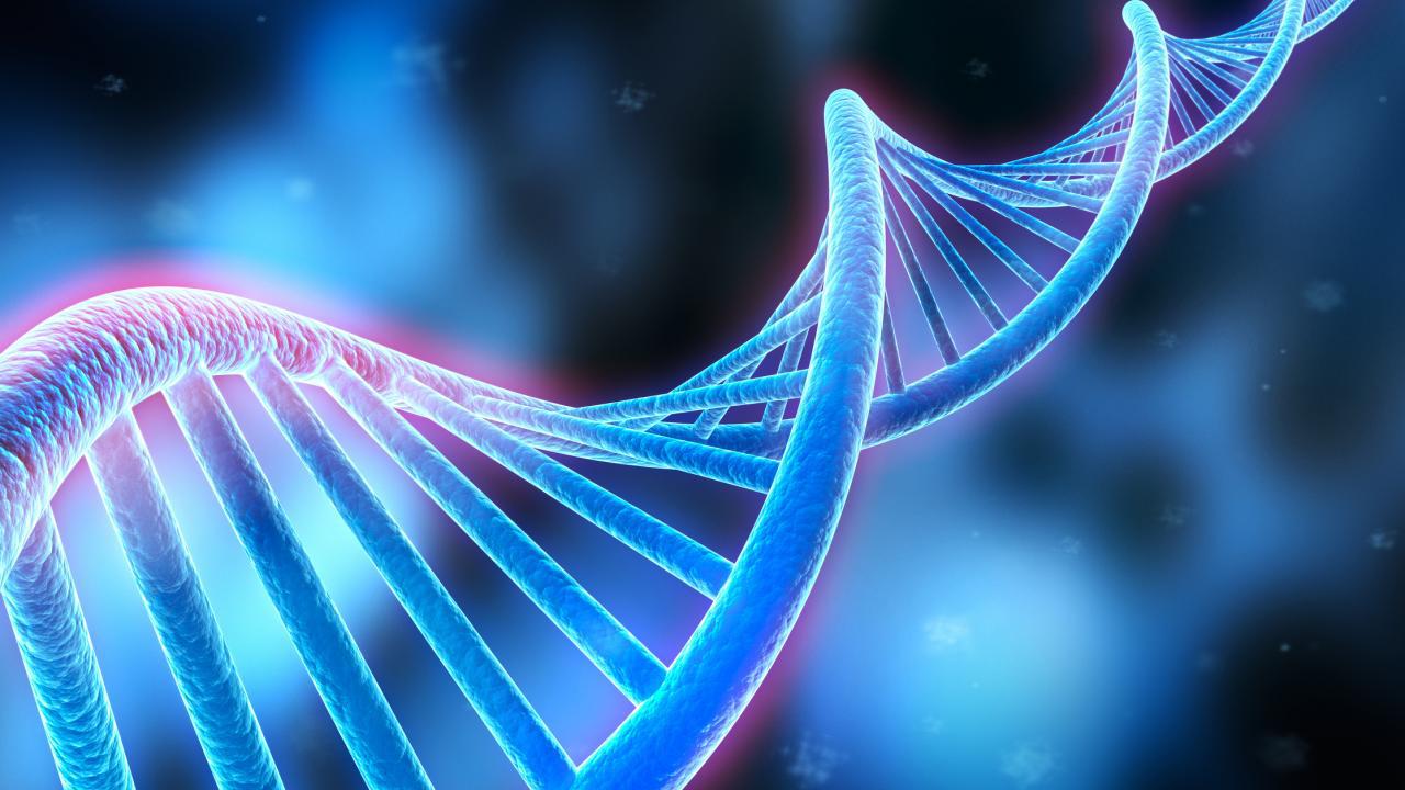 image of DNA structure