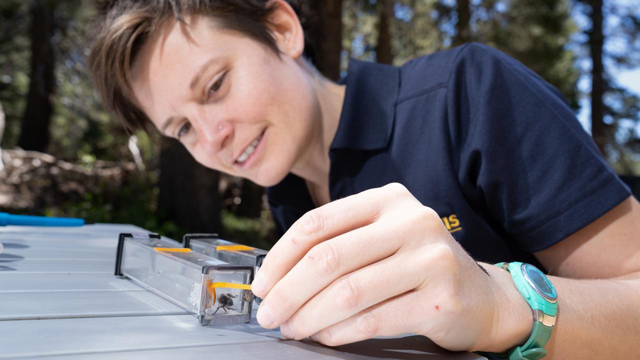 A person with short hair wearing a dark polo shirt and a green watch is engaged in an outdoor activity, working with a small, clear plastic device that appears to be a scientific instrument on top of a metallic surface. The setting includes trees and natural light, suggesting the activity is taking place in a wooded area during the day.