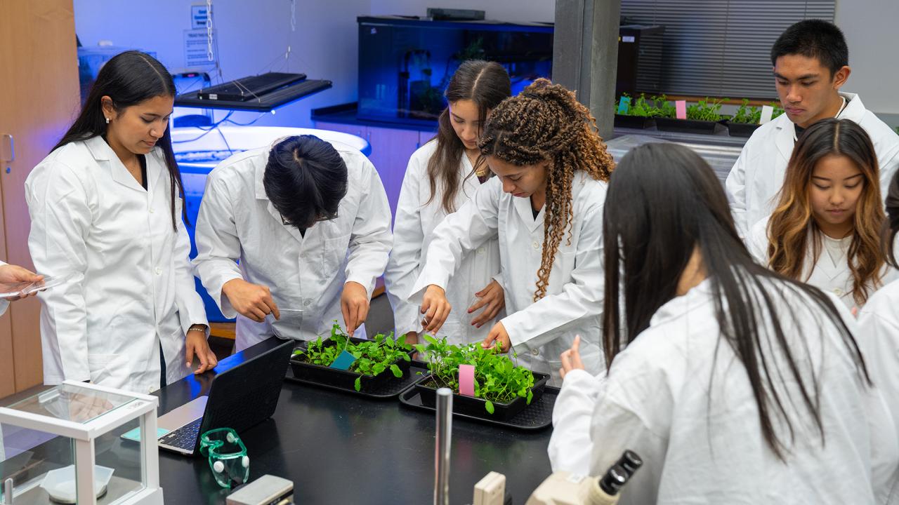 Students in white lab coats examining green plants during a biology lab experiment