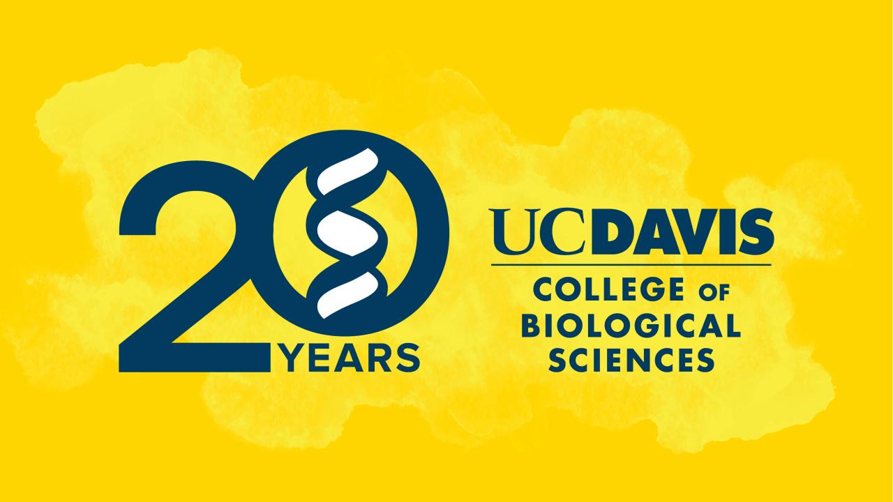 A yellow abstract background with the college logo and a styalized "20" representing 20 years