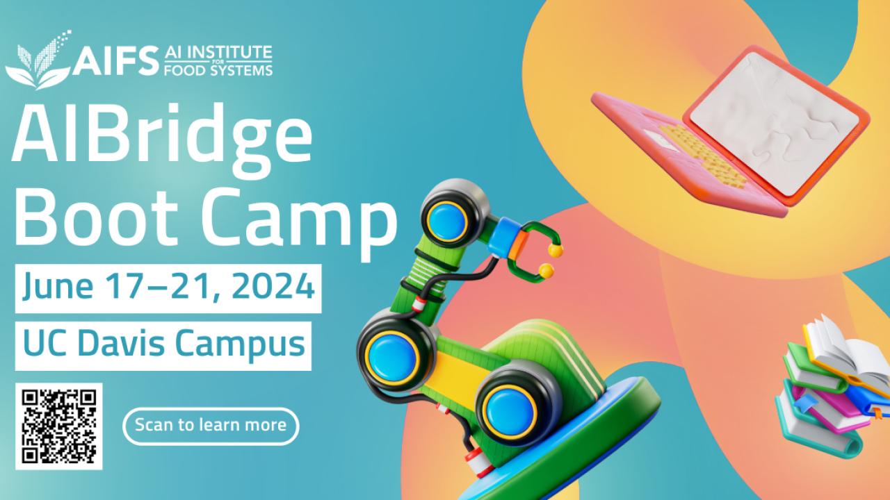 AIBridge Boot Camp Flyer