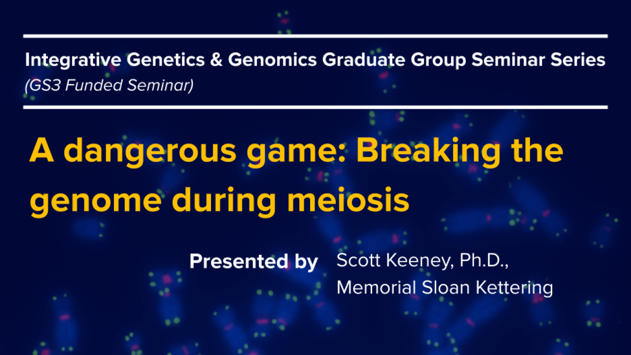 Dark blue graphic with seminar title, speaker name and speaker title