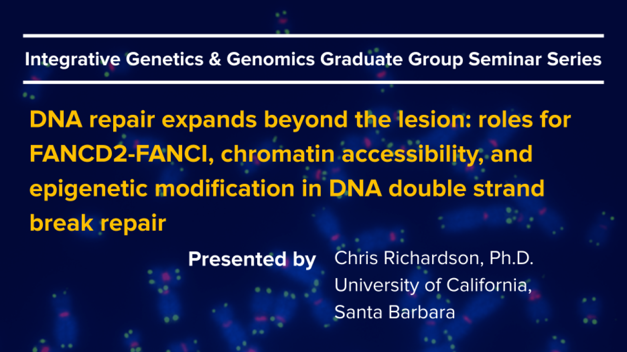 Dark blue graphic with seminar title, speaker name and speaker title