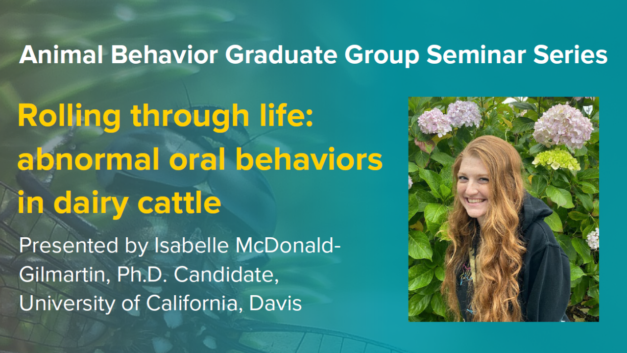 Blue graphic with seminar title, speaker name and title, and speaker photo