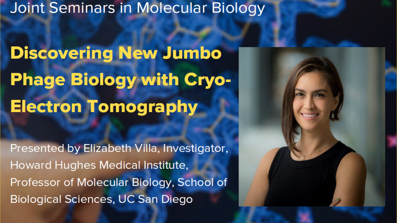 blue graphic with seminar title, speaker name and title, and speaker photo