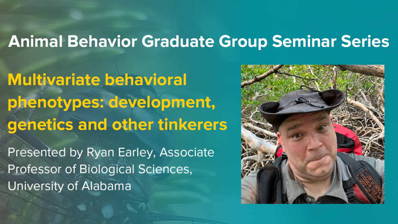 blue graphic with seminar title, speaker name and title, and speaker photo