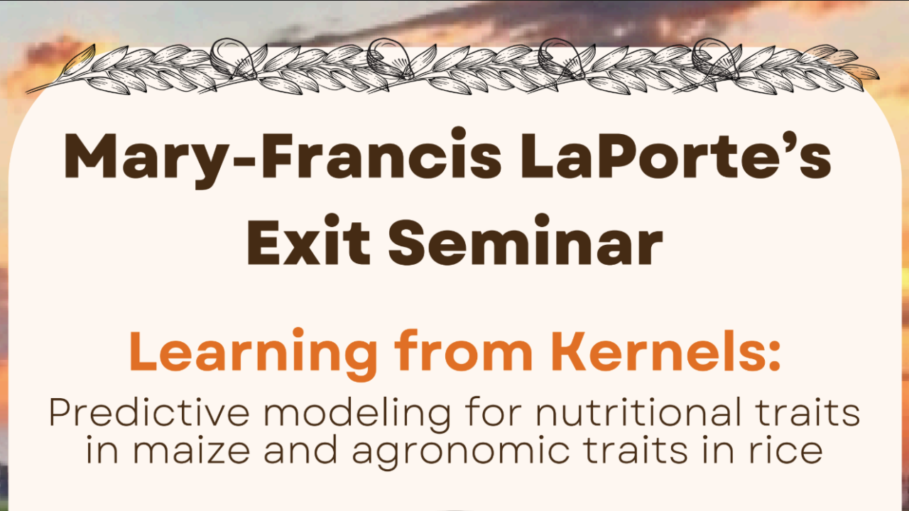 Graphic with seminar title and speaker name