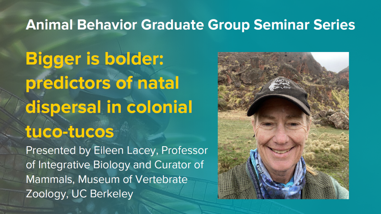 Blue graphic with seminar title, speaker name and title, and speaker photo