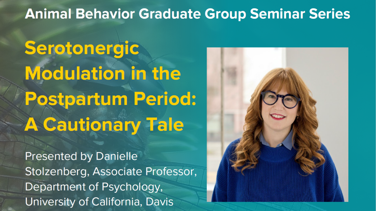 Blue graphic with seminar title, speaker name and title, and speaker photo