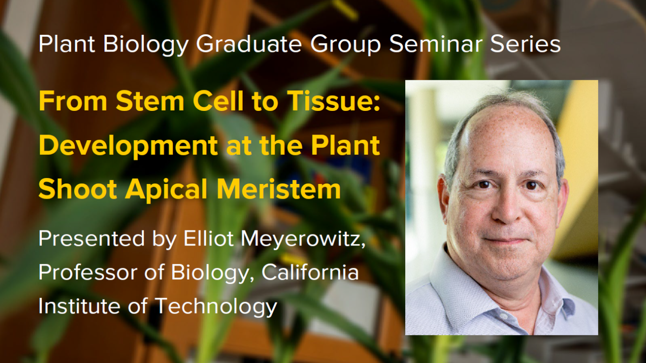 Plant graphic with seminar title, speaker name and title, and speaker photo