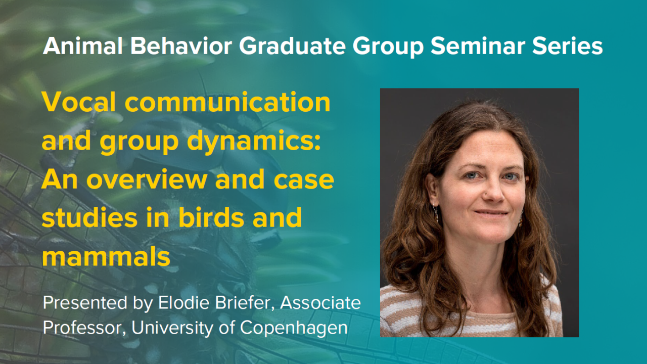 Blue graphic with seminar title, speaker name and title, and speaker photo