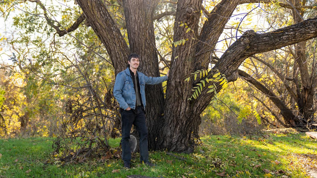 A person in a denim jacket leans casually against a large tree with multiple trunks, surrounded by grass and autumn foliage in a sunlit outdoor setting.