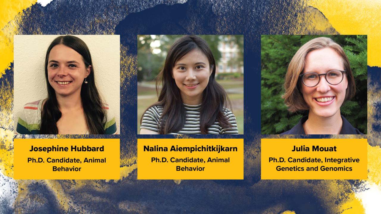 Three headshots of the CBS grad slam finalists against watercolor blue and gold background