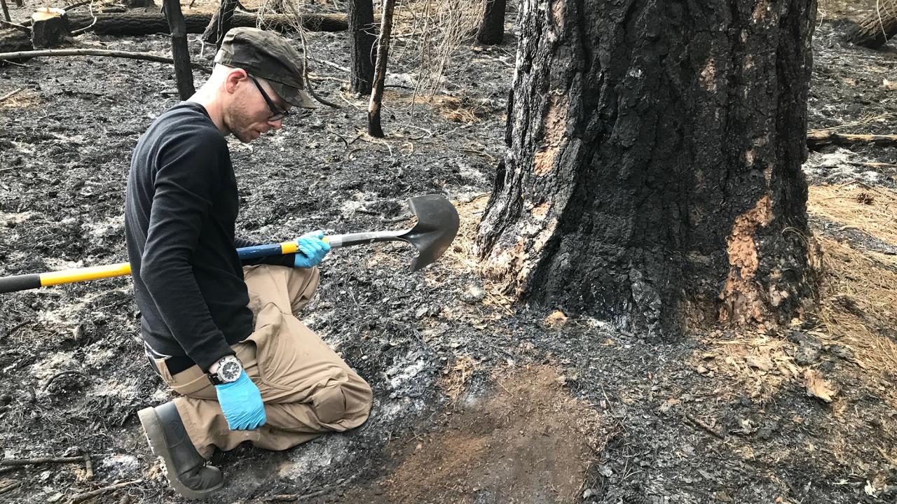 Dustin Lower collecting soil samples from regions impacted by fire.