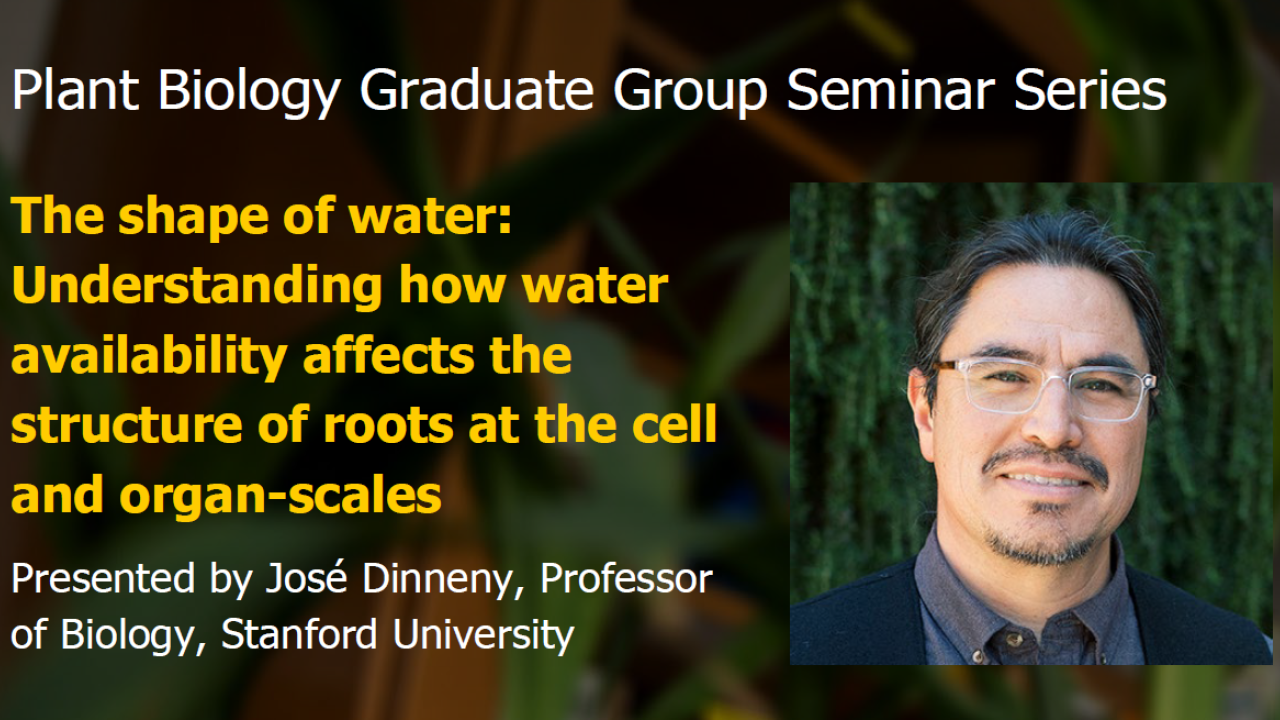 Plant graphic with seminar title, speaker name and title, and speaker photo