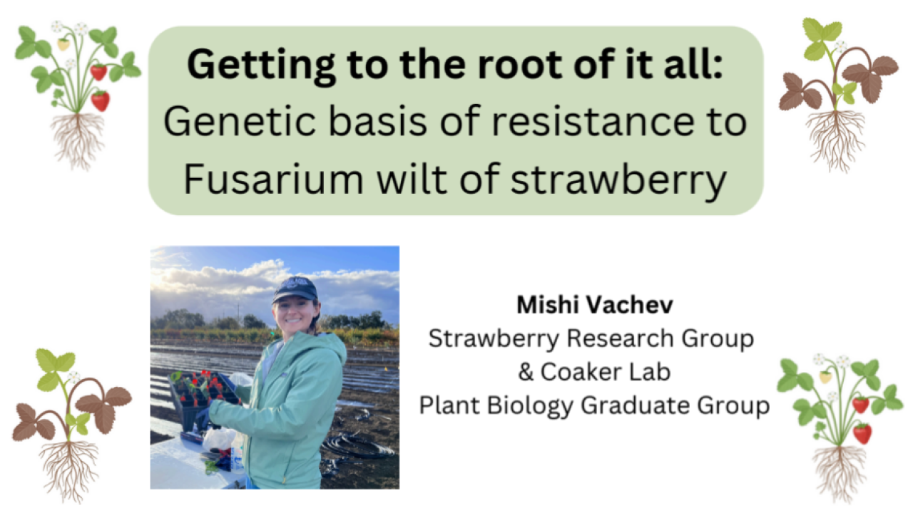 Plant graphic with seminar title, speaker name and title, and speaker photo