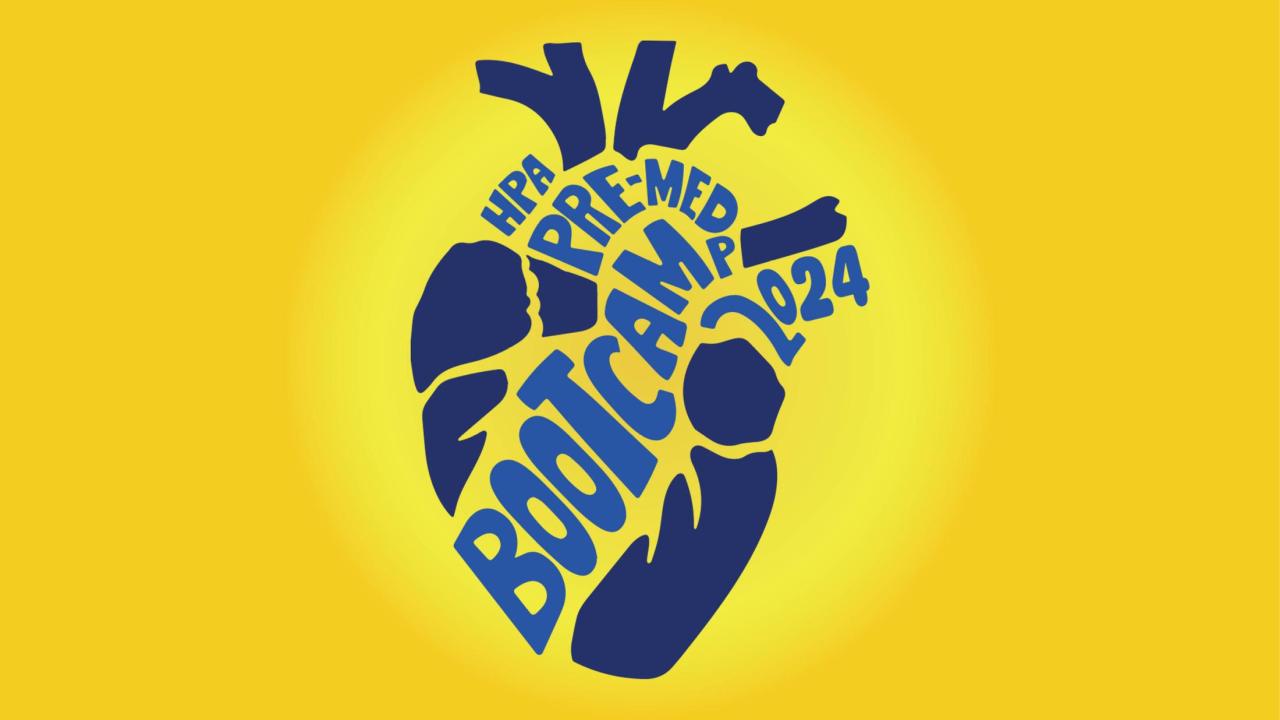 HPA Bootcamp logo on gold background