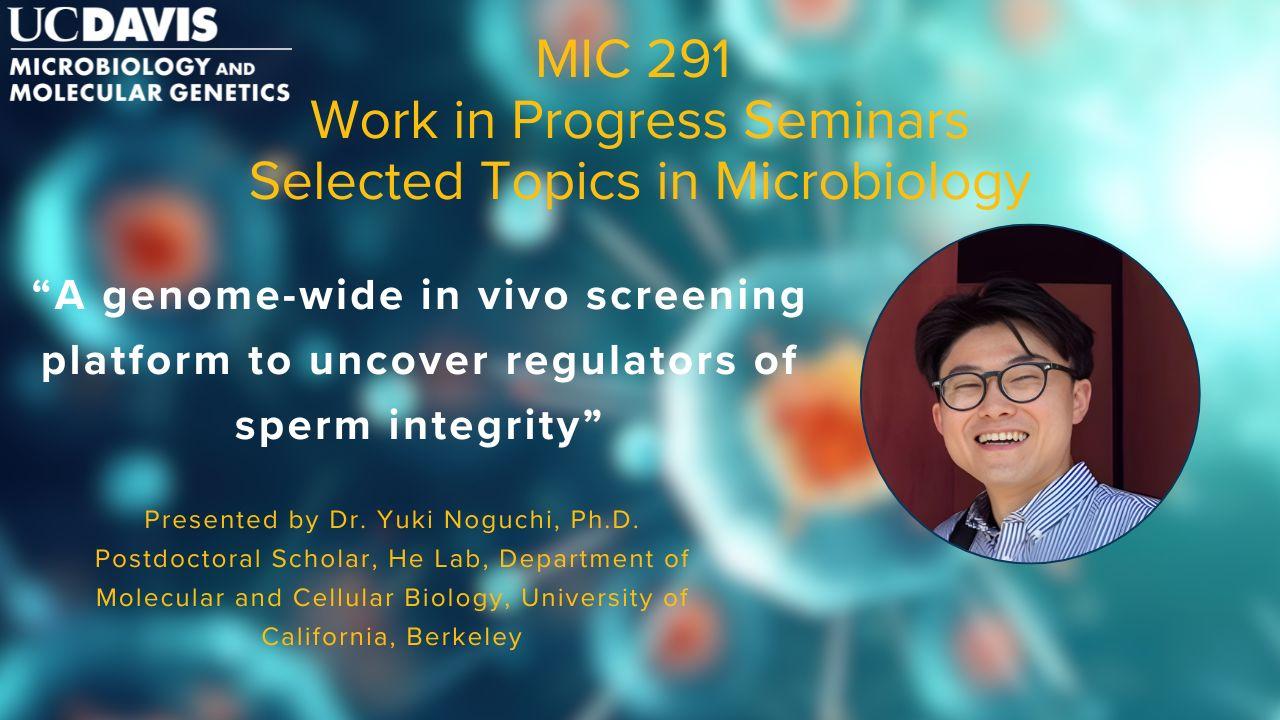 MIC 291 Seminar: Dr. Yuki Noguchi presents: "A genome-wide in vivo screening platform to uncover regulators of sperm integrity" Flyer