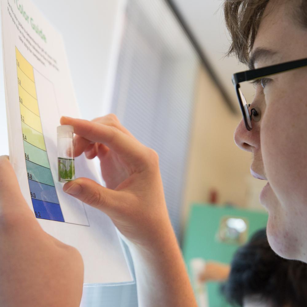 Student compares a colorimetric pH scale to a vial containing green liquid, holding both up to the light in a science classroom.