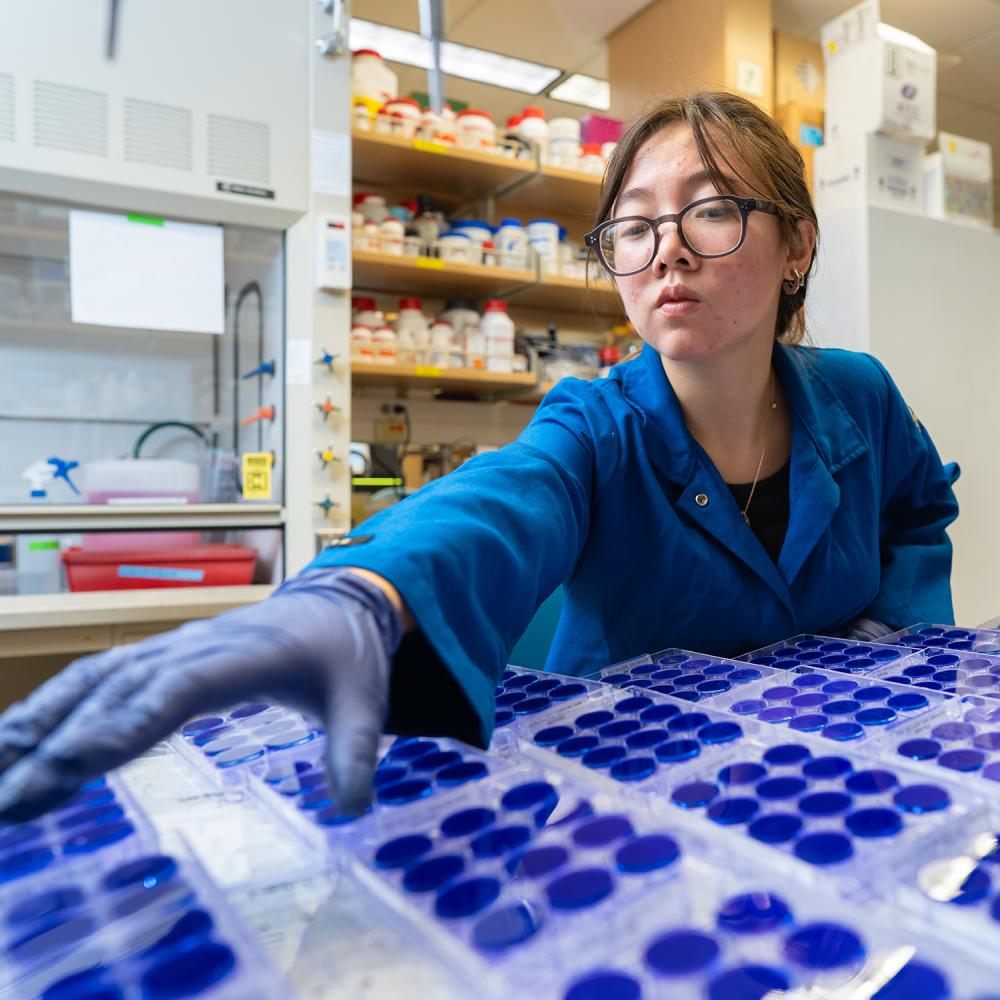 Individual in glasses, brown hair, and blue lab coat reaching for micropipette tips 