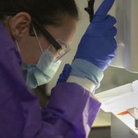 Student in purple lab coat working in the COVID testing lab