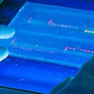 Genome sequencing