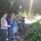 The Wild Davis class observes turtles in the Arboretum lake. Laci Gerhart-Barley