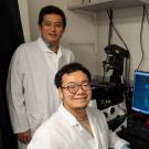 Yasuhisa Munakata (right) a postdoctoral fellow working with Satoshi Namekawa, a professor of microbiology and molecular genetics, has received a prestigious grant from the Global Consortium for Reproductive Longevity and Equity. With it, he will investigate the cellular origins of reproductive aging and fertility decline. (Photo by Sasha Bakhter / UC Davis))