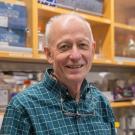 Portrait of Luca Comai in blue plaid shirt in his lab