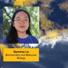 Gemma Le headshot against blue and gold background
