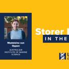 Yellow Storer graphic