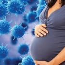 Pregnant woman on viral background