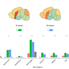 Example of data analysis