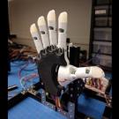 Robotic hand