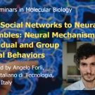 Blue graphic with seminar title, speaker name and title, and speaker photo